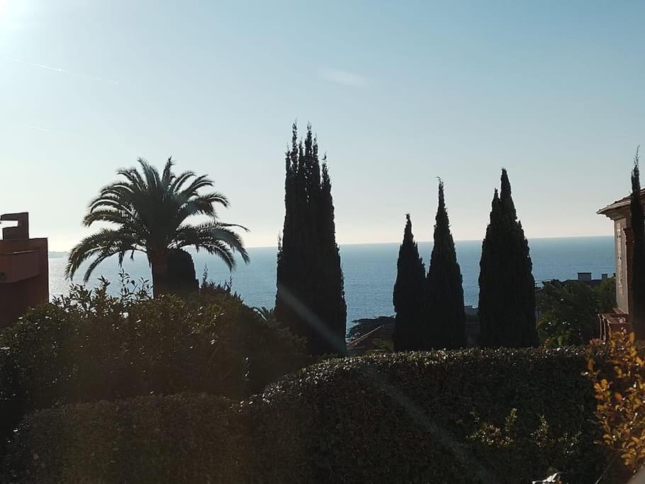 Residence De Luxe Sun Paradis, Studio Terrasse, Vue Mer Piscine Κάννες Εξωτερικό φωτογραφία